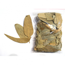 Liście Eukaliptusa 50g